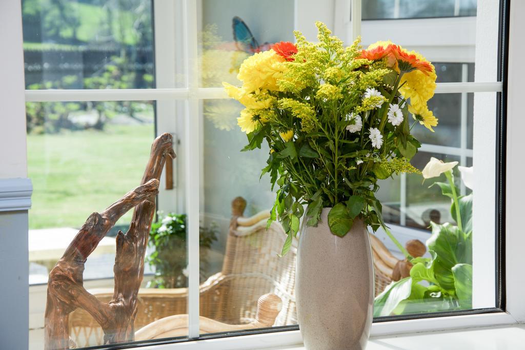 The Rose Garden Bed & Breakfast And Cafe Kenmare Ngoại thất bức ảnh